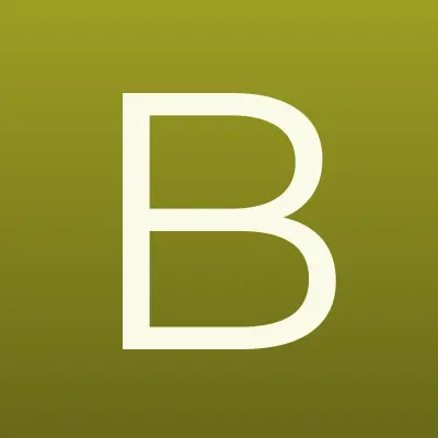 БТИ, лого-визитка