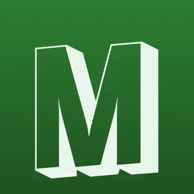 Мега Мастер, компания, лого-визитка